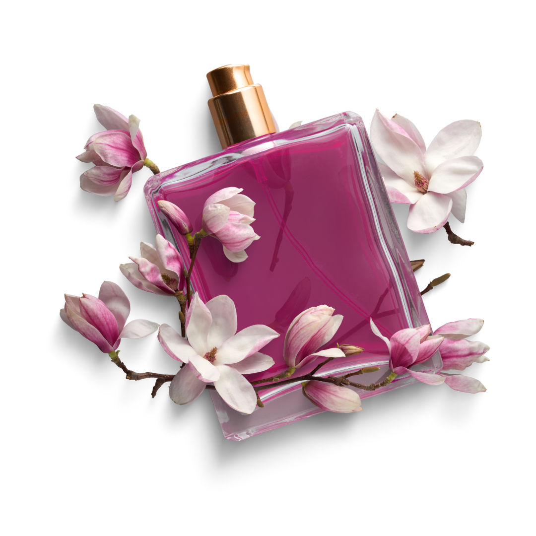 AMC FRAGRANCE SCENT